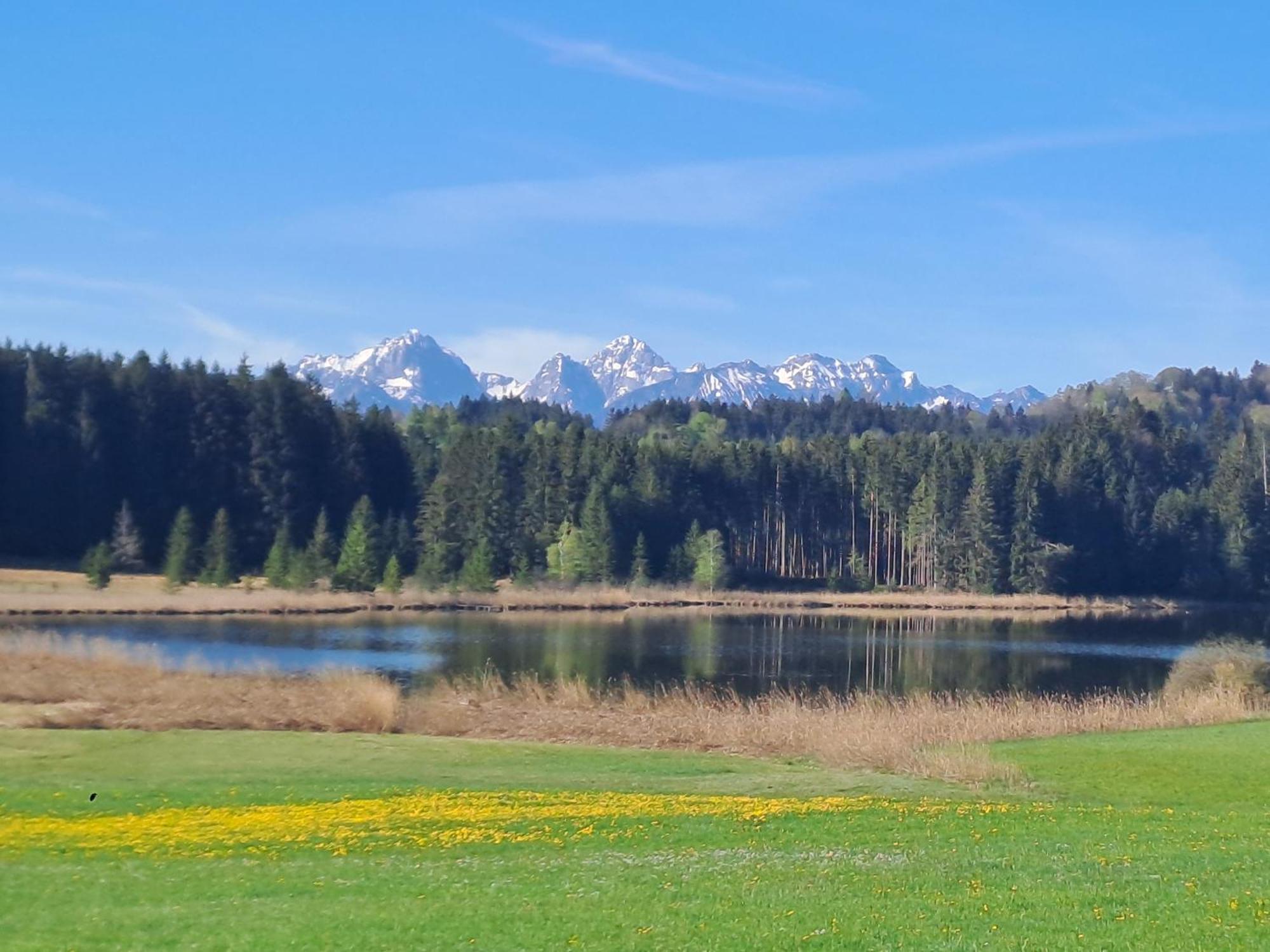 Allgaeu-Genuss Halblech Bagian luar foto