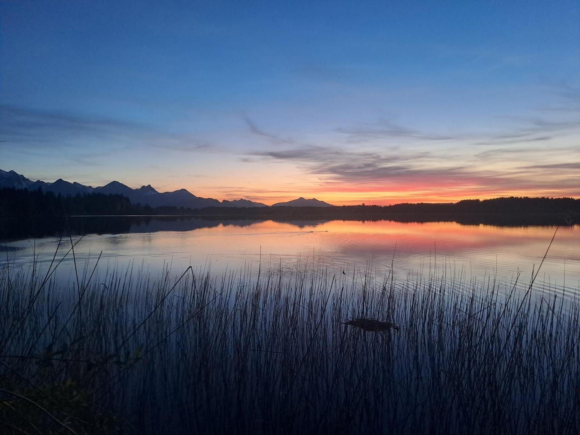 Allgaeu-Genuss Halblech Bagian luar foto